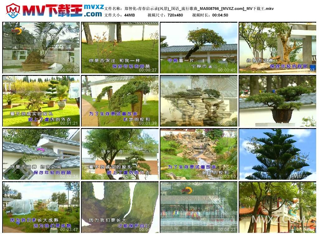 郑智化-青春启示录(风景)_国语_流行歌曲_MA508766